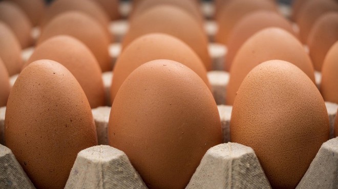 Peticija za odpravo jajc baterijske reje že blizu 7000 podpisov in še raste! (foto: profimedia)
