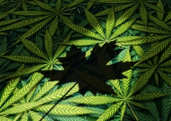 Rhode Island je kot 20. zvezna država legaliziral rekreacijsko rabo marihuane