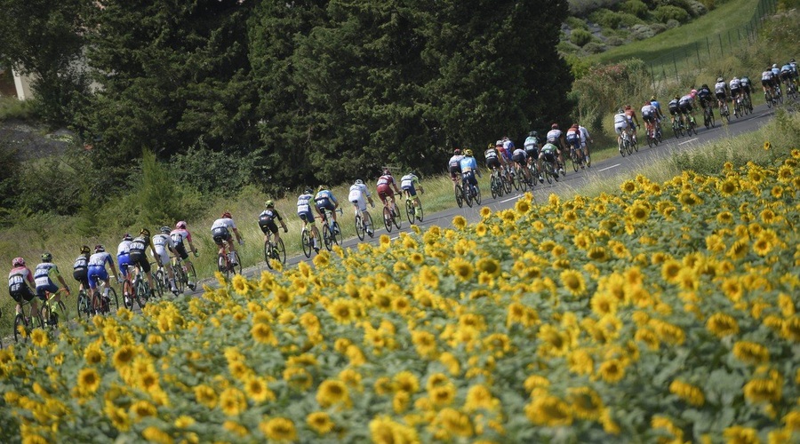 Incident z balami sena in solzivcem prekinil 16. etapo Toura (foto: Tour de France Press)