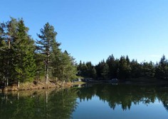 Jezero Rakitna: Kopanje odsvetovano zaradi fekalnih bakterij