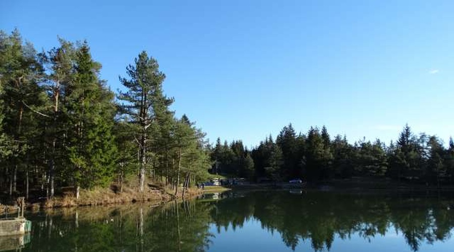 Jezero Rakitna: Kopanje odsvetovano zaradi fekalnih bakterij (foto: STA)