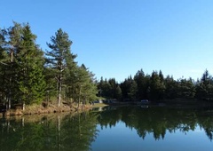 Jezero Rakitna: Kopanje odsvetovano zaradi fekalnih bakterij