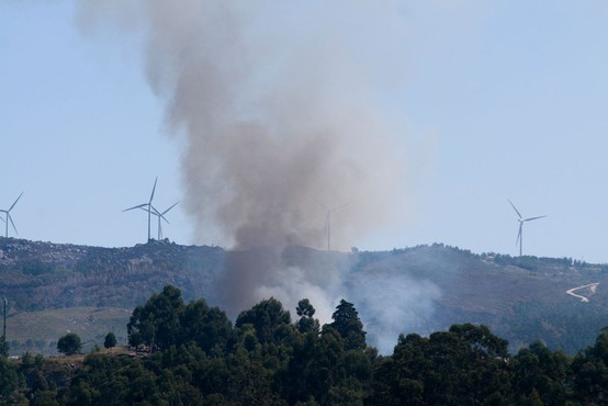 V gozdnem požaru na Portugalskem 24 ranjenih