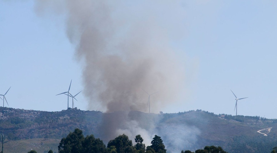 V gozdnem požaru na Portugalskem 24 ranjenih (foto: Profimedia)