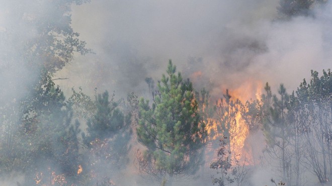 Jadranska magistrala zaprta zaradi požara pri Omišu, kraj Mimica brez elektrike (foto: profimedia)