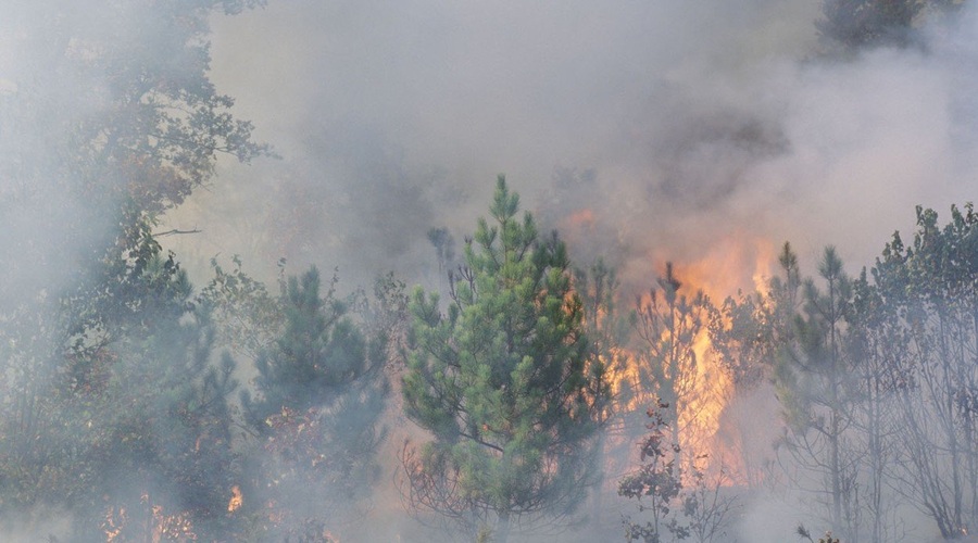 Jadranska magistrala zaprta zaradi požara pri Omišu, kraj Mimica brez elektrike (foto: profimedia)
