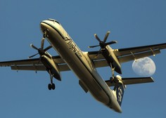 Mlad mehanik letalske družbe Alaska Airlines je ukradel letalo, poletel do otoka Ketron in strmoglavil