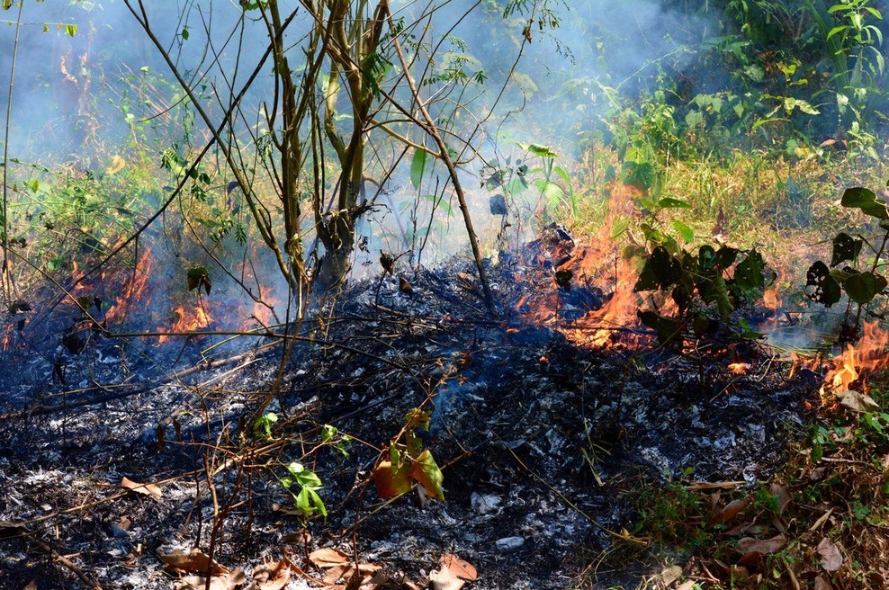 Po šestih letih je spet zagorelo na težko dostopnem območju med Novo Gorico in Grgarjem (foto: profimedia)