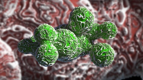 Zaradi pretirane rabe antibiotikov človeštvu že grozi odporna bolnišnična superbakterija!
