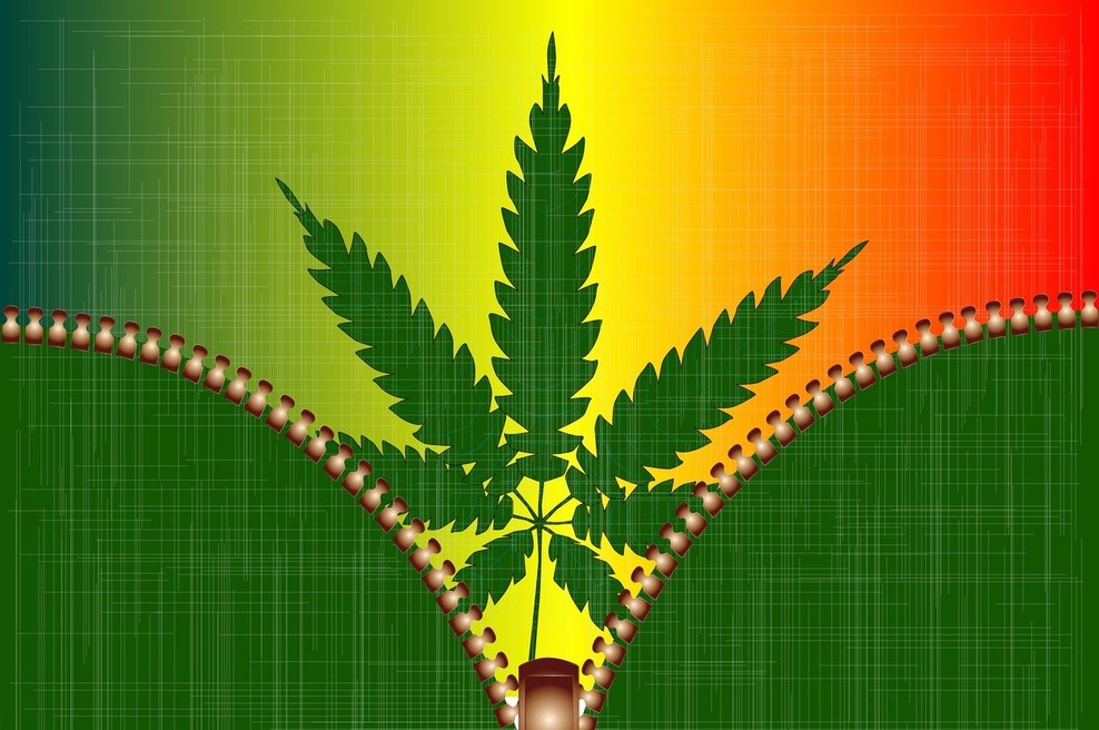V Kanadi legalizirali marihuano tudi za rekreativne namene, a je Trudeau ne namerava kupiti! (foto: profimedia)