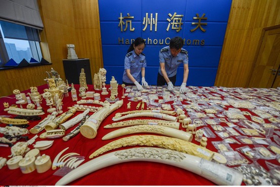 Kitajska nepričakovano odpravlja 25-letno prepoved trgovanja z deli tigrov in nosorogov