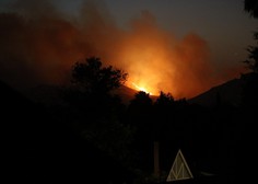 Najmanj 31 žrtev požara na severu Kalifornije