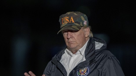 Fince neznansko zabavajo Trumpovi komentarji o gozdovih