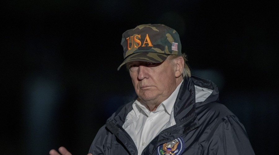 Fince neznansko zabavajo Trumpovi komentarji o gozdovih (foto: profimedia)