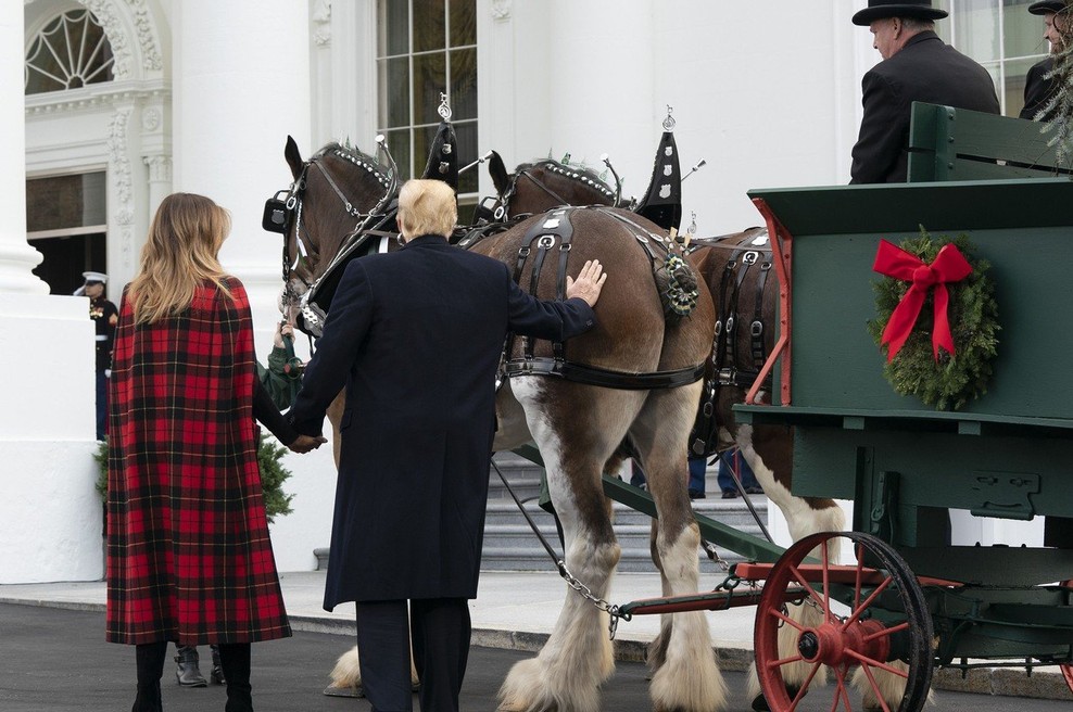 Združenje dopisnikov Bele hiše brez komika, ker se Trump ne zna smejati na svoj račun! (foto: profimedia)
