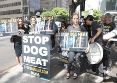 V Južni Koreji navkljub 100-letni tradiciji zaprli največjo klavnico psov