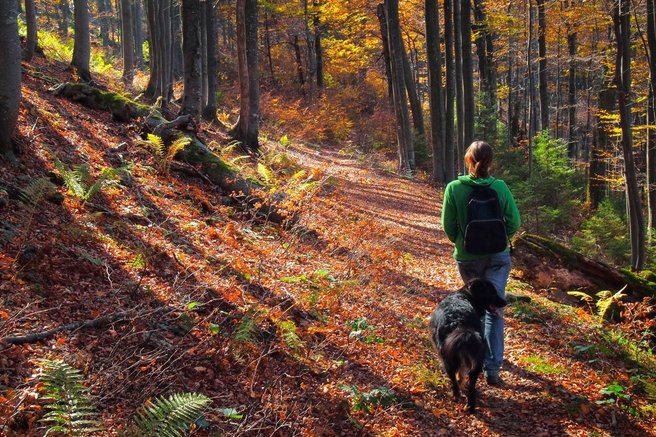 Pospravite dežnike, krompirjeve počitnice bodo v znamenju sonca in prijetnih temperatur