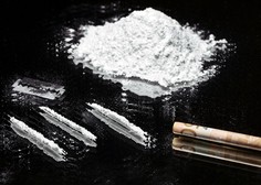 Brazilska pošiljka usnja s 700 kilogrami kokaina, vrednega okrog 80 milijonov evrov