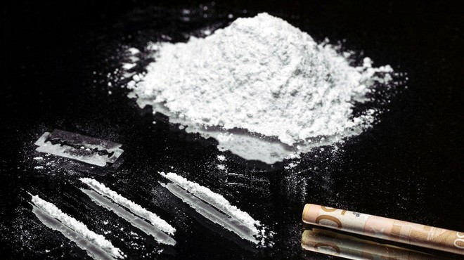 Brazilska pošiljka usnja s 700 kilogrami kokaina, vrednega okrog 80 milijonov evrov (foto: profimedia)