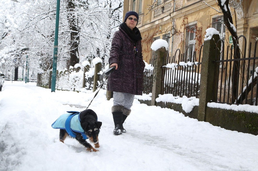 Na območju Sarajeva in Bijeljine ponekod zapadlo več kot pol metra snega (foto: Profimedia)