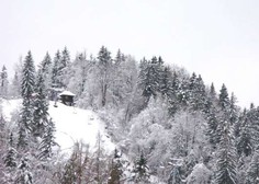 V avstrijskih Alpah je zaradi močnega sneženja obtičalo več tisoč ljudi