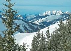 v Avstriji je slovenska smučarka preživela snežni plaz