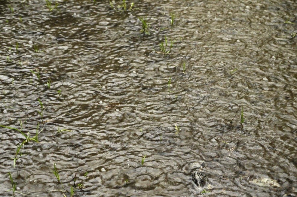 Slovenija: Zaradi dežja in taljenja snega se reke že razlivajo, težave na Gorenjskem (foto: profimedia)