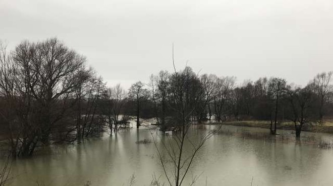 Notranjska reka Reka poplavlja, Kolpa in Vipava se razlivata na izpostavljenih mestih (foto: STA/Tatjana Žnidaršič)