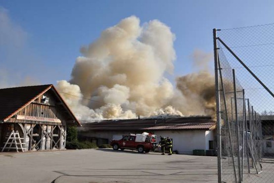 Škoda v požaru na obratu kmetijske šole pri Novem mestu naj bi dosegla milijon evrov