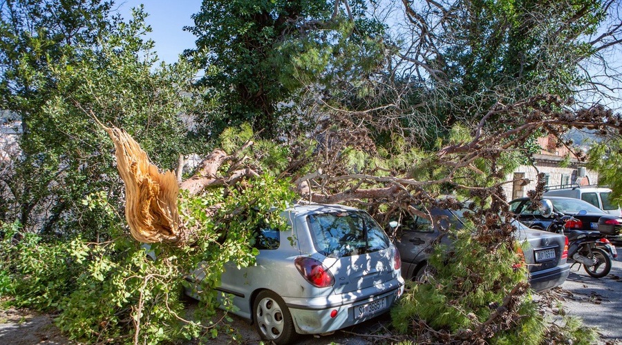 Neurja po Italiji terjala pet življenj, med njimi je tudi najstnik, ki je pomagal očetu pri popravilu škode (foto: profimedia)
