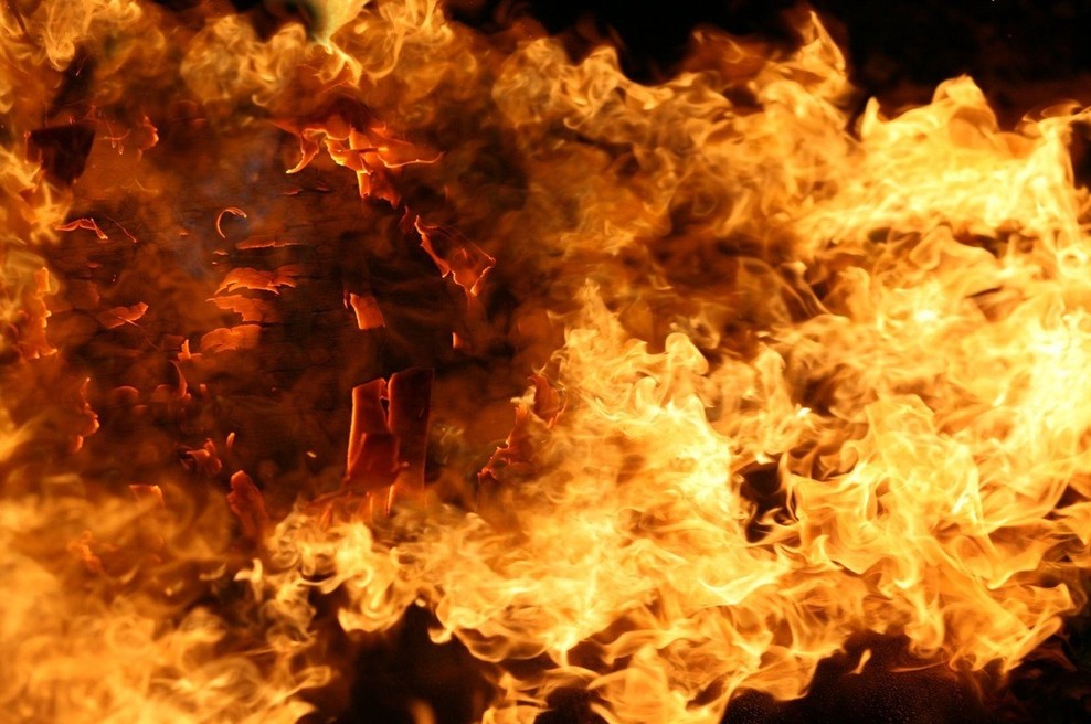 V Avstraliji divja več kot 30 požarov, ogenj požira domove, gozdove in grmičevje (foto: profimedia)