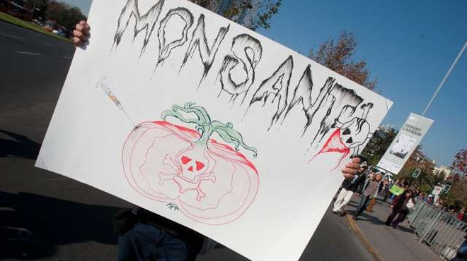 Monsanto bo bolniku z rakom moral odšteti 80 milijonov dolarjev odškodnine (foto: Xinhua/STA)