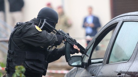 Oče Davida Dragičevića zaprosil za azil v Avstriji