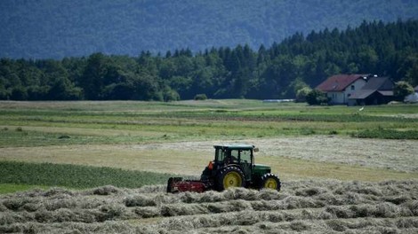 Omejitev paše in košnje po požaru v Podskrajniku ukinjena