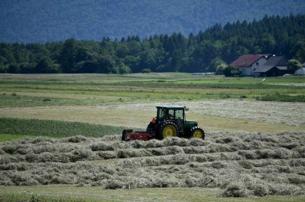 Omejitev paše in košnje po požaru v Podskrajniku ukinjena (foto: STA/Tamino Petelinšek)