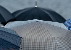 Meteorna voda zalila več objektov, veter odkrival strehe in ruval drevesa