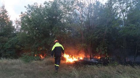 Požar na Cerju skoraj pogašen, požarišče bodo še nadzorovali