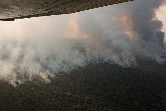 Pod pritiskom evropskih voditeljev je Bolsonaro v gašenje požara vključil vojsko
