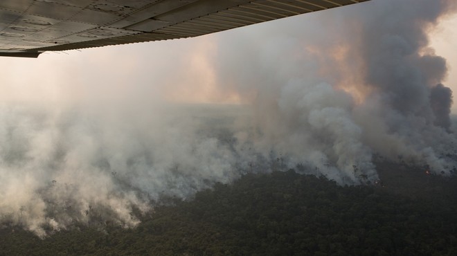 Pod pritiskom evropskih voditeljev je Bolsonaro v gašenje požara vključil vojsko (foto: profimedia)