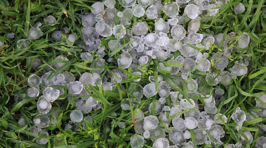 V Črnomlju zbirajo vloge za prijavo škode po petkovem neurju (foto: Profimedia)