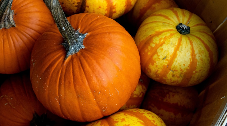 Tudi Slovenci imamo tradicijo strašenja z izrezanimi bučami! (foto: profimedia)