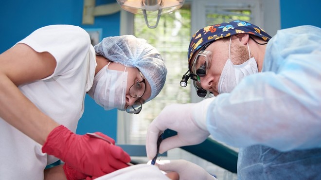 Nemški zobozdravnik izpulil najdaljši zob na svetu, poroča Jutarnji list! (foto: profimedia)