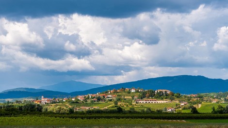 Resno o neresni dilemi: Izpljuniti ali pogoltniti?