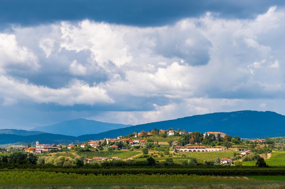 Resno o neresni dilemi: Izpljuniti ali pogoltniti? (foto: Andrej Safaric/Alamy/Alamy/Profimedia)