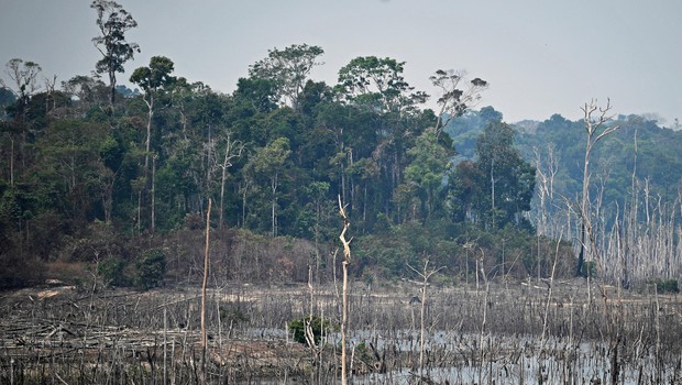 
                            Požar v Amazoniji, Greta, njeni kritiki in opustošenje, ki se dogaja pred našimi očmi! (foto: Carl De Souza/Afp/Profimedia)