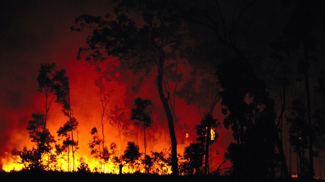 Na območju Sydneyja razglasili stanje naravne katastrofe (foto: pr)