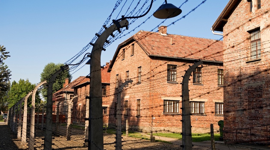 Poljska Netflix obtožuje spreminjanja zgodovine (foto: profimedia)