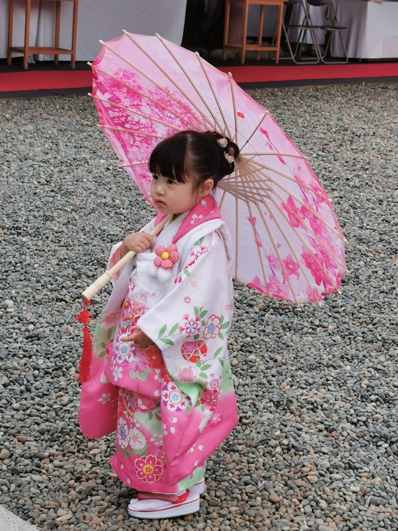 Prizori kot iz pravljice: svet je obnorela nežno rožnata eksplozija, ki traja le nekaj dni