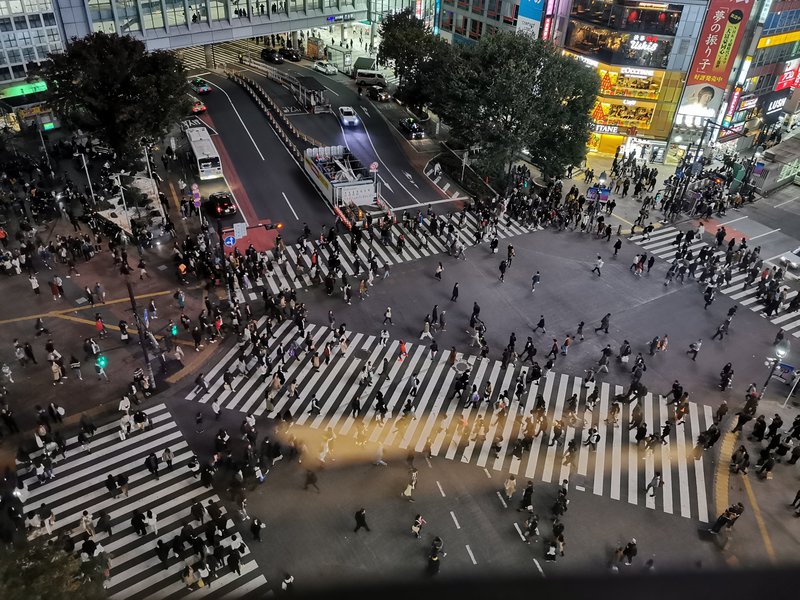 Prehod Shibuya v Tokiu, prek katerega se v eni zeleni luči sprehodi 2500 ljudi