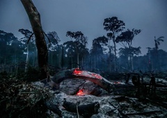 V Amazoniji izginilo največ deževnega gozda po letu 2008, v dimu tudi avstralski Sydney!